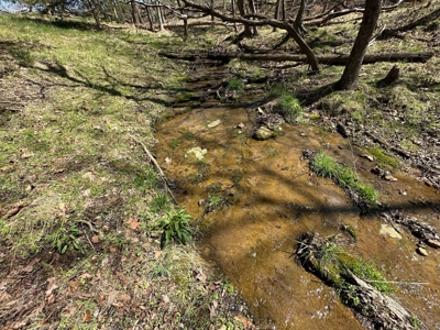 Unrestricted Land in Albany, Kentucky - image 21