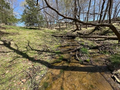 Unrestricted Land in Albany, Kentucky - image 19