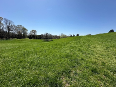 Unrestricted Land in Albany, Kentucky - image 30