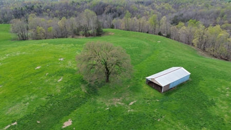 Unrestricted Land in Albany, Kentucky - image 8
