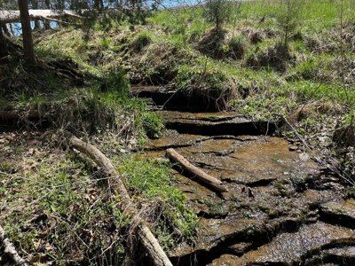 Unrestricted Land in Albany, Kentucky - image 18