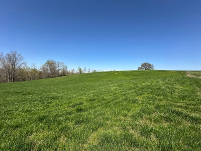 Unrestricted Land in Albany, Kentucky - image 15