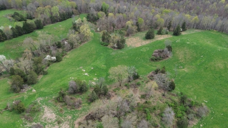 Unrestricted Land in Albany, Kentucky - image 6