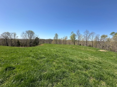 Unrestricted Land in Albany, Kentucky - image 11