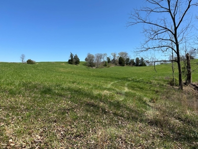Unrestricted Land in Albany, Kentucky - image 29
