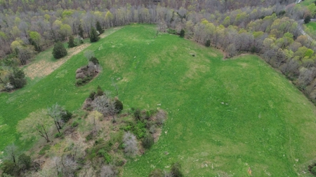 Unrestricted Land in Albany, Kentucky - image 2