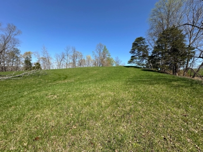 Unrestricted Land in Albany, Kentucky - image 24