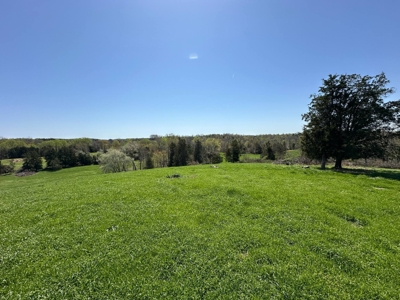 Unrestricted Land in Albany, Kentucky - image 28