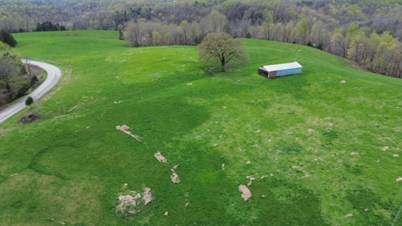 Unrestricted Land in Albany, Kentucky - image 1