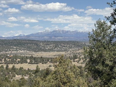 Incredible Views from this Mountain Top Property - image 7