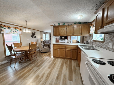 Updated Manufactured Home for Sale. Ryan Hubbard - image 8