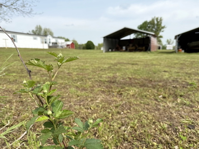 Updated Manufactured Home for Sale. Ryan Hubbard - image 26