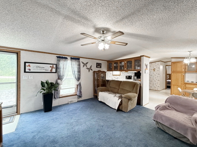 Affordable Country Home for Sale in Cedar County, Missouri - image 4