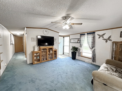 Affordable Country Home for Sale in Cedar County, Missouri - image 5