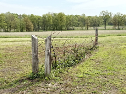 Affordable Country Home for Sale in Cedar County, Missouri - image 26