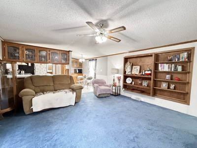 Affordable Country Home for Sale in Cedar County, Missouri - image 3