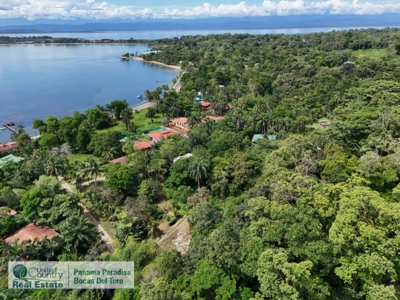 Solid Concrete Home, Bocas del Toro, Panama - image 11
