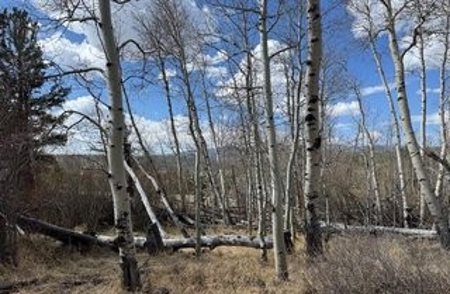 Crystal Lakes Lot with Views for Camping or Building - image 3