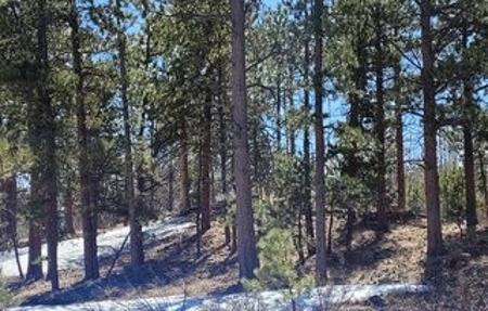 Building Site in Gated Fox Acres Country Club - image 5