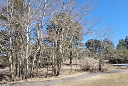 Building Site in Gated Fox Acres Country Club - image 6