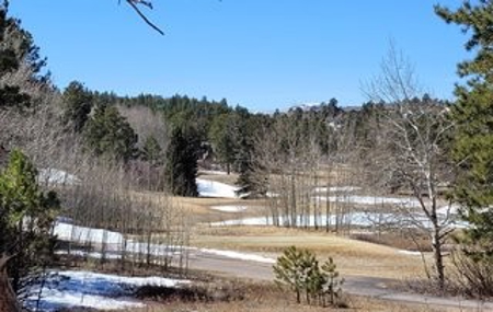 Building Site in Gated Fox Acres Country Club - image 2