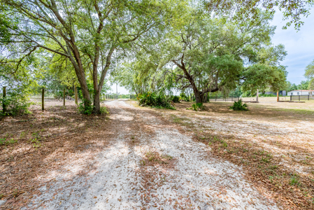 Home For Sale in Bell, FL with Airstrip Access - image 16
