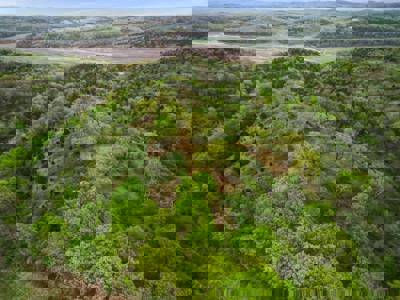 250 Acre River Crest Subdivision on Bull Shoals Lake - image 34
