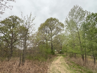 250 Acre River Crest Subdivision on Bull Shoals Lake - image 8