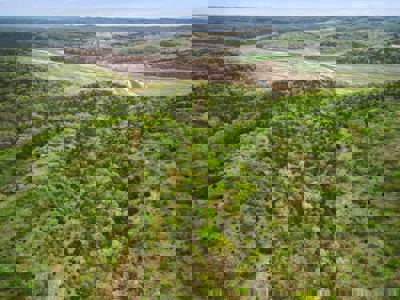 250 Acre River Crest Subdivision on Bull Shoals Lake - image 42