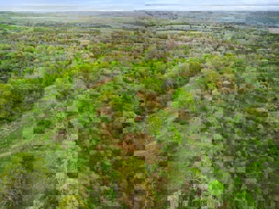 250 Acre River Crest Subdivision on Bull Shoals Lake - image 13