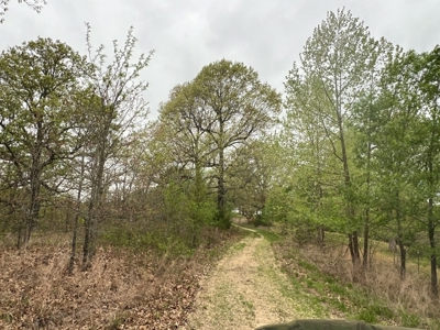 250 Acre River Crest Subdivision on Bull Shoals Lake - image 4