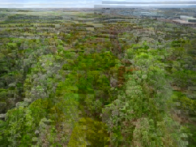 250 Acre River Crest Subdivision on Bull Shoals Lake - image 29
