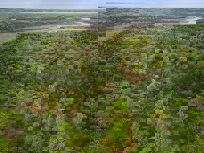 250 Acre River Crest Subdivision on Bull Shoals Lake - image 30