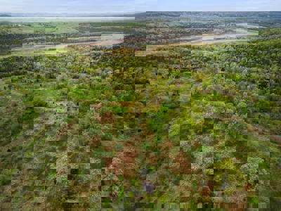 250 Acre River Crest Subdivision on Bull Shoals Lake - image 43