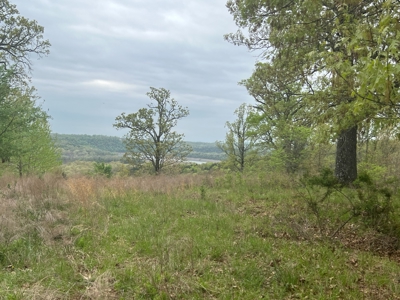 250 Acre River Crest Subdivision on Bull Shoals Lake - image 5