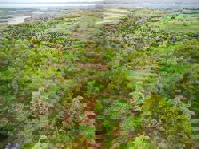 250 Acre River Crest Subdivision on Bull Shoals Lake - image 22