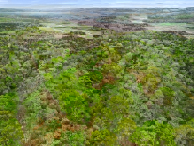 250 Acre River Crest Subdivision on Bull Shoals Lake - image 17
