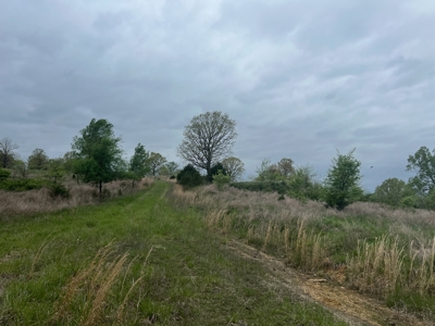 250 Acre River Crest Subdivision on Bull Shoals Lake - image 6