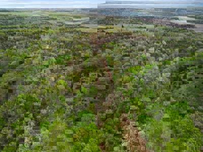 250 Acre River Crest Subdivision on Bull Shoals Lake - image 32