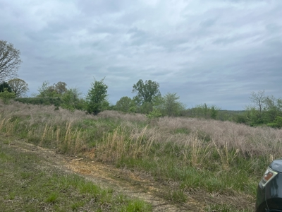250 Acre River Crest Subdivision on Bull Shoals Lake - image 9