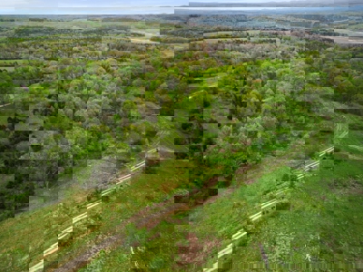 250 Acre River Crest Subdivision on Bull Shoals Lake - image 24