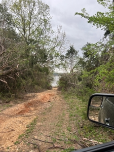 250 Acre River Crest Subdivision on Bull Shoals Lake - image 3