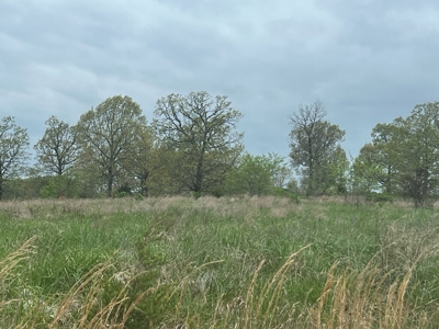 250 Acre River Crest Subdivision on Bull Shoals Lake - image 7