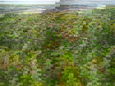 250 Acre River Crest Subdivision on Bull Shoals Lake - image 19