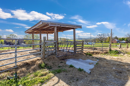 Offering #2 - Farm for Sale in Bluff City TN - image 20