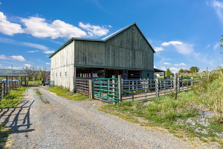 Offering #2 - Farm for Sale in Bluff City TN - image 24