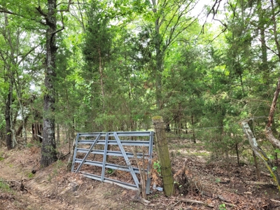 Wooded 6 Acres For Sale in Clarksville TX, Red River County TX - image 6