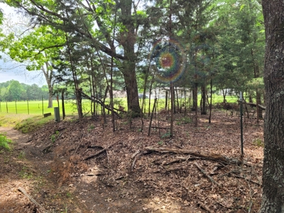 Wooded 6 Acres For Sale in Clarksville TX, Red River County TX - image 10