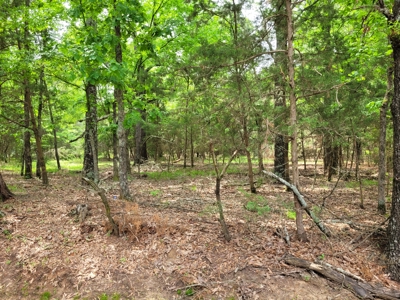 Wooded 6 Acres For Sale in Clarksville TX, Red River County TX - image 8