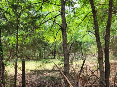 Wooded 6 Acres For Sale in Clarksville TX, Red River County TX - image 7